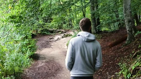 Man Hiking Walking on Trail - Back view and Stabilized Shot Vídeo Stock 95948893
