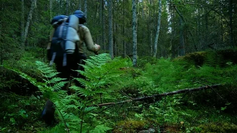 Man hiking in the Woods with Backpack Stock Footage 98330888