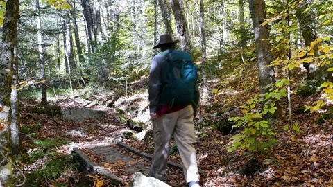 Man hiking in the woods with a backpack Vídeo Stock 140929882