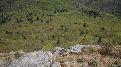 Man in the hills Stock Footage 37865234