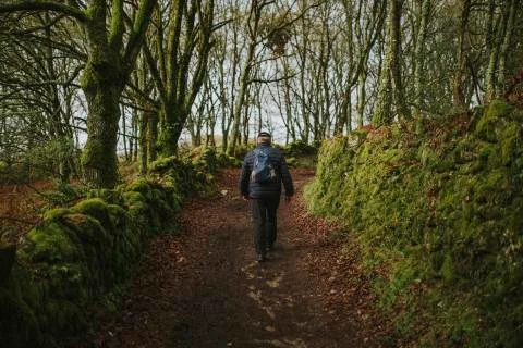 Man in his back crossing the forest doing trekking. Stock Photos
