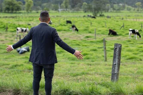Man with his back turned looking at beautiful pasture. Stock Photos