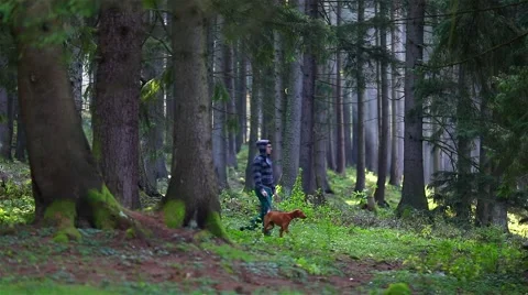 Man with his dog walking in the forest Video stock 44383784