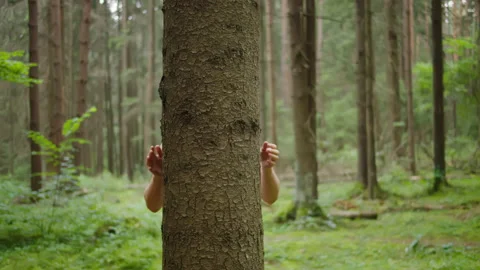 Man with his hands hugs a tree trunk, unity with nature, environmental Stock Footage 140737019