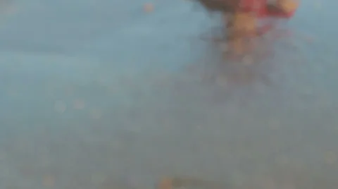 A man with his hands touching the sea water - freedom - purity - return to live 스톡 동영상 26110210
