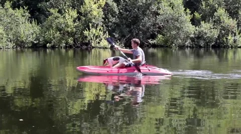 Man with his puppy kayaking down a river Stock-Footage 40496369