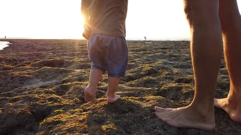 A man with his two-year-old son are on the beach towards the setting sun Stock Footage 111849661
