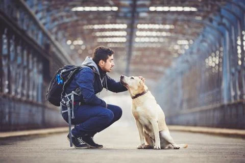 Man with his yellow labrador retriever on the old bridge Stock-Fotos