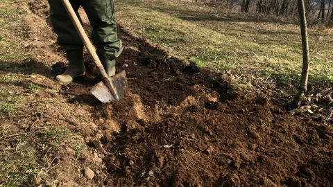Man hoeing the soil with a spade in the vegetables garden. Stock Footage 171297622