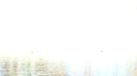 Man holding arm around woman while they listening to music by the lake Stock Footage 59555881