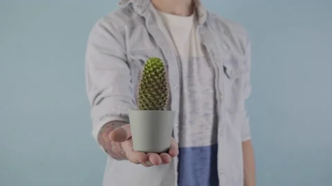 Man holding a cactus against studio blue background pain symbol Stock Footage 229133804