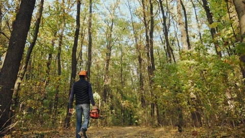 Man holding a chainsaw and walking in a forest Stock Footage 118535481