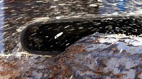 Man Holding Chainsaw Stock Footage 73929011