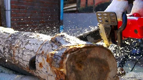 Man Holding Chainsaw. Slow motion Video stock 73883226