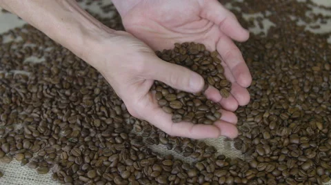 Man holding coffee beans Stock Footage 65996415