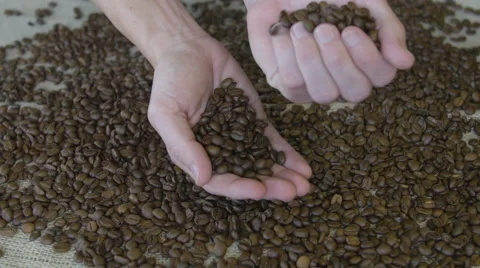 Man holding coffee beans Stock Footage 65996463