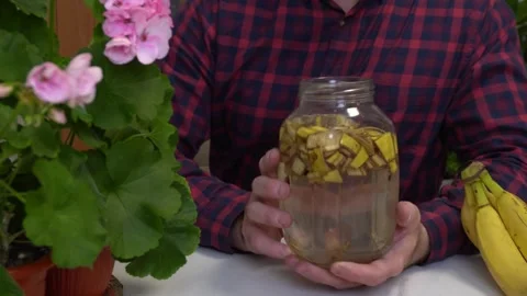 Man is holding a container filled with water, infused with banana peel, a Stock Footage 310488094