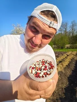 Man holding a container full of various colorful bean seeds, preparing for Stock Photos