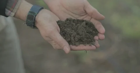 Man holding dirt Stock Footage 76405324