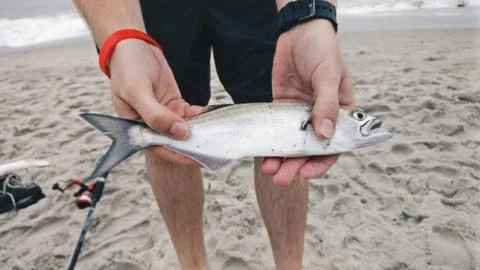 Man Holding Fish On Beach Stock Photos