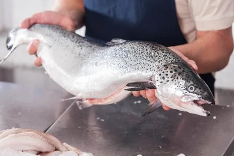 Man holding a fish Stock Photos