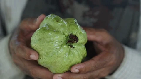 Man holding a guava in hand Stock Footage 126073693