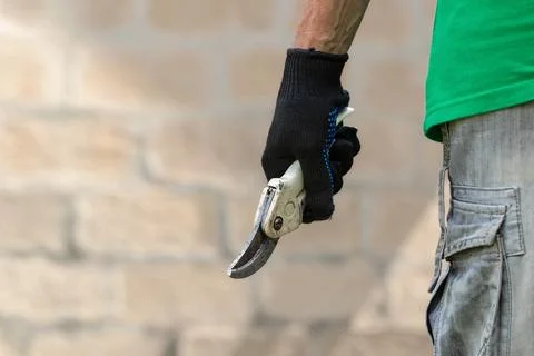 Man holding hand pruning shears in his hand.Garden tools. Stock Photos