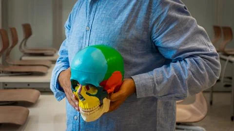 Man holding a multi-colored skull Stock Photos