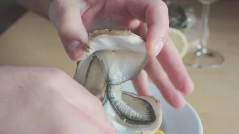 Man holding opened fresh raw oyster in hands. Oysters being natural aphrodisiac Stock Footage 233275231