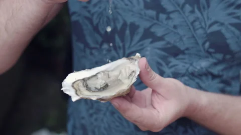 Man holding opened raw oyster in hands, squeezing fresh lemon juice and tasting Stock Footage 159658045