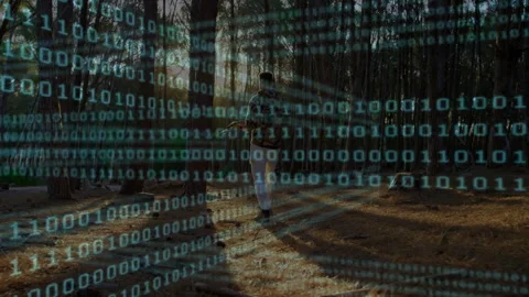 Man holding phone exploring sunlit pine forest, with floating binary code Stock Footage 308186436
