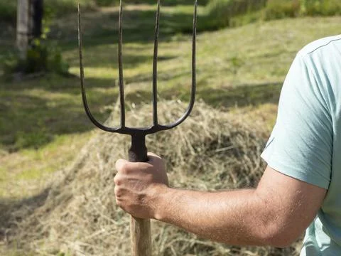 A man is holding a pitchfork. In the background is a haystack. Sunny day, sum Stock Photos