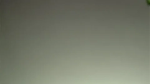 Man holding a pot of basil Stock Footage 11291027