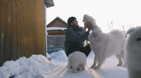 A man holding a puppy Samoyed Stock Footage 59794948