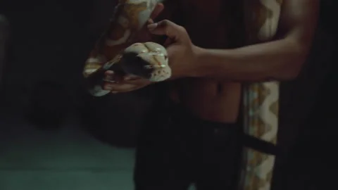 Man holding a python Stock-Footage 324529455