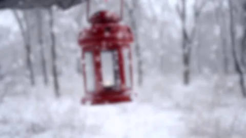Man holding red candle lantern in winter forest. Snow forest snowfall Stock Footage 132188634