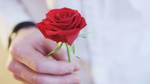 Man Holding a Red Rose in His Hands Stock Footage 69779605