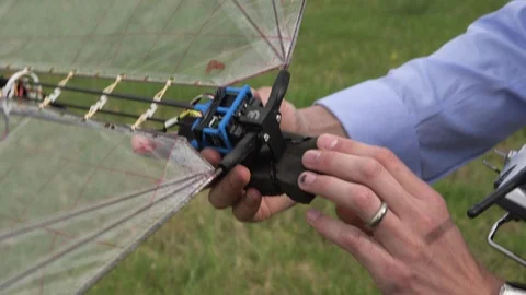 Man holding robot bird Stock Footage 93525201