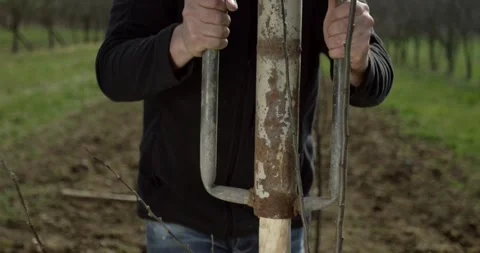 Man Holding a Rusty Tool Beside a Staked Young Tree in an Orchard Vídeo Stock 340291869