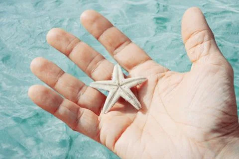 Man holding starfish Stock Photos