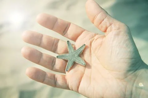 Man holding starfish Stock Photos