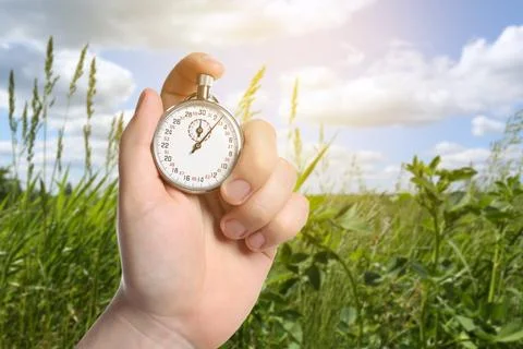 Man holding timer in meadow, closeup. Space for text Stock-Fotos