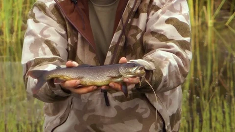 Man holding trout fish 스톡 동영상 83304912