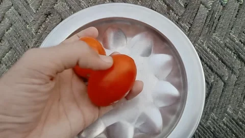 Man Holding Two Fresh Red Tomatoes in Her Hand Video stock 347562849