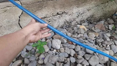 A man holds a blue elastic plastic hose Stock-Footage 275540316