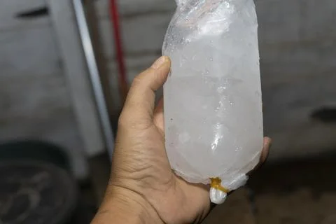 A man holds ice cubes in a plastic bag Stock Photos