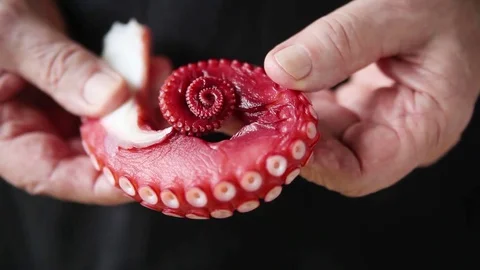 Man holds octopus tentacle Stock Footage