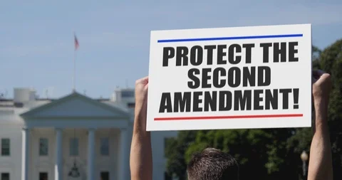 Man Holds Protect the Second Amendment Sign in Front of White House Stock Footage
