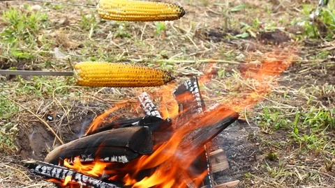 A man holds two ears of ripe yellow corn above the fire Stock Footage 140738401