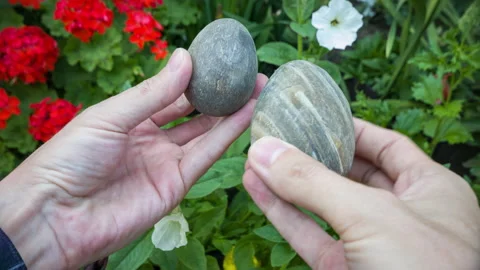 A man holds two round, untreated agate stones 스톡 동영상 119201206